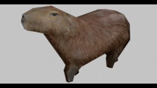 Top 5 Scariest Jumpscares Capybara Edition