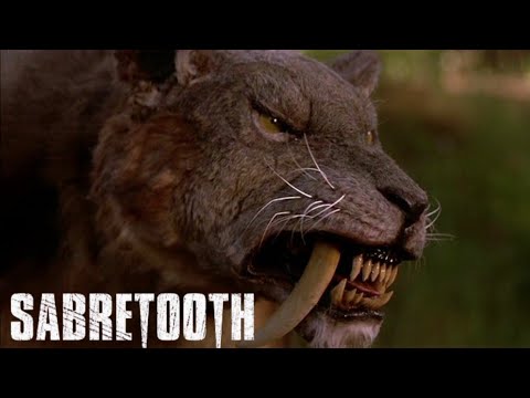 Sabretooth 2002 Kill Count