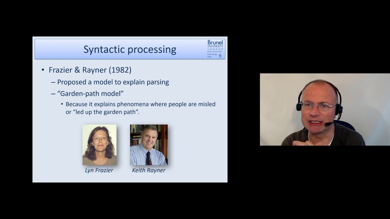 Cognitive Psychology Lecture 07 - Language 2 - Part 3 (Syntactic ...