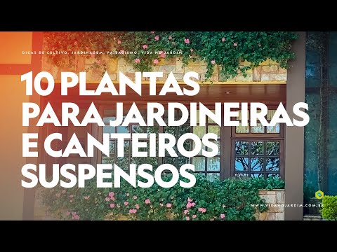 Vídeo: Como cultivar plantas em uma janela de planta