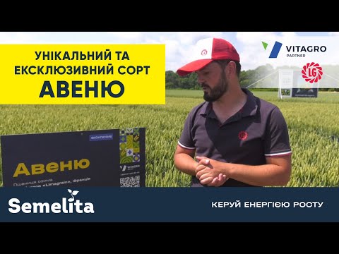 Унікальний та ексклюзивний