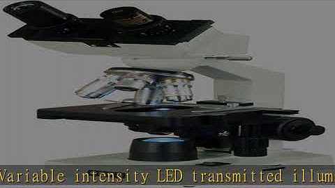 OMAX - 40X-2500X LED Binocular Lab Compound Microscope with 5MP Camera and Mechanical Stage - M82EZ