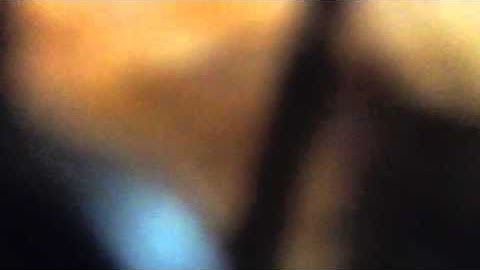 how to get your serial number and software version off a BrailleNote mPower