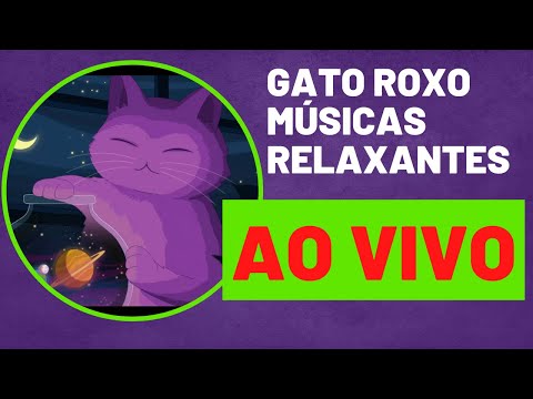 Músicas para relaxar/Estudar/Dormir lofi hip hop radio - Gato Roxo