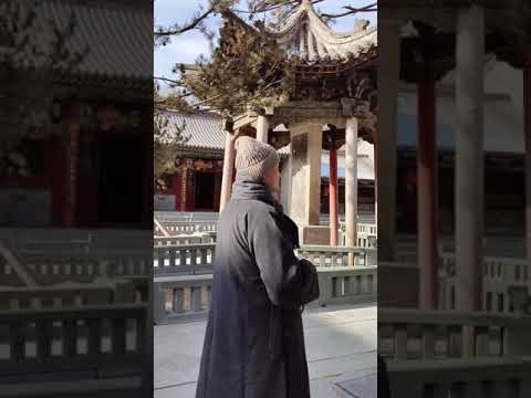 【人部落】智慧佛学院传播正能量，让国际和平 家庭幸福 人生顺利 悟透佛学 阿弥陀佛 感恩慈悲师傅分享 3