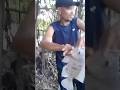 Mamaw na Tilapia.