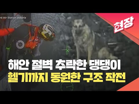 [현장영상] 절벽 <strong>100m</strong> 아래로 떨어진 반려견…<strong>미국</strong> 해안 경비대, 헬기 동원해 구조 / KBS 2023.06.21.