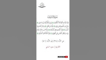 سورة النازعات - من الآيه (34) إلى (41) القارئ سعود السليم  1444 هـ - 2023 م