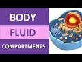 Body Fluid Compartments and Osmosis Quiz