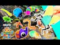 Kids Learn | Bug Insect Names &amp; Facts by the Branch: Earthworm Fly Ladybug Slug Ant Rhino Beetle