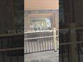 Historic Hodge House - Final Window Update! Paned glass for the win!