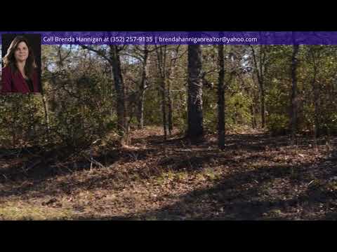 3332 W Viking Lane, Citrus Springs, FL home video tour