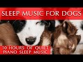 Music for Dogs and Humans to Sleep [Soothing Piano]