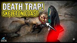 Why The Skeleton Coast Is Still Claiming Victims