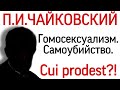 П. И. Чайковский: гомосексуализм и самоубийство. Кому это выгодно? Письма. Мнения психиатров.