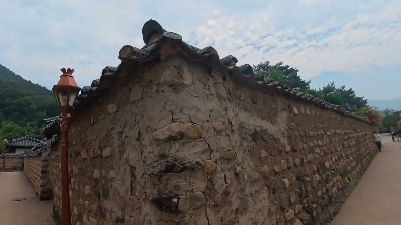 대구 남평문씨안흥세거지 능소화(20250628)