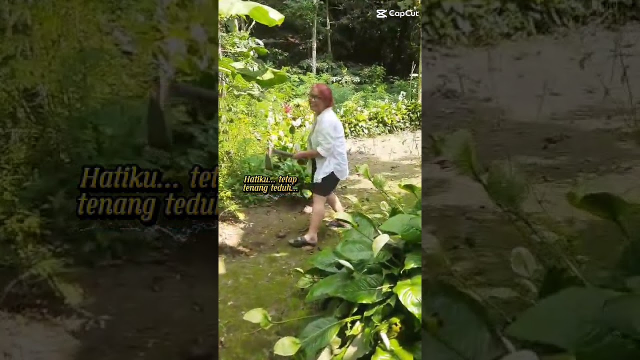 TIAP LANGKAHKU DIATUR OLEH TUHAN---LAGU ROHANI ---(OFFICIAL MUSIC VIDIO)