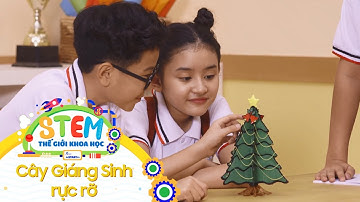 STEM Thế Giới Khoa Học - Tập 14: Cây Giáng Sinh Rực Rỡ
