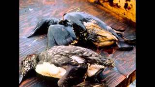 impacto ambiental del consumismo