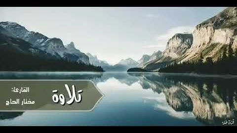 سورة النور من الآية 41 الى الآية 43