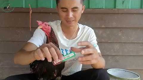 New qhia tshuaj kho qaib mob khib kaj ຂີ້ກາກ 19/7/2019