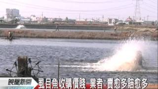 20111024-公視晚間新聞-收購價低市價高 虱目魚養殖業者苦.mpg