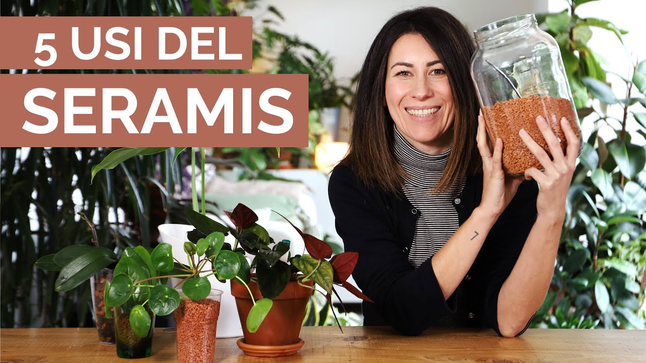 Idrocoltura, Orchidee, Propagazione… scopriamo il SERAMIS!