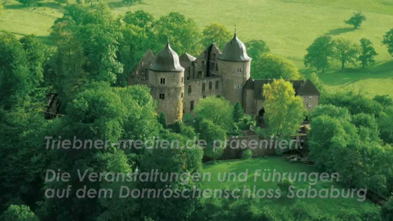 Märchenhafter Urwald im Herzen Deutschlands: der Nationalpark Hainich in Thüringen