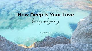 How deep is your love | Luke Halvorsen