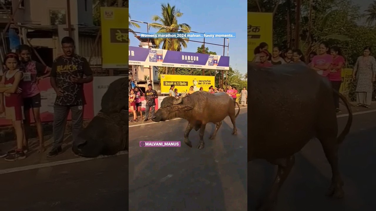 marathon 2024 malvan 