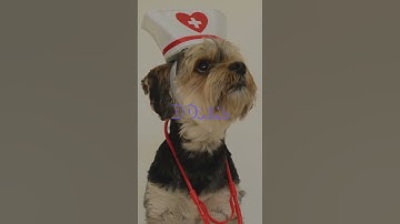 Stillness Wins — Stop Chasing, Start Understanding. | 100M Views Motivation