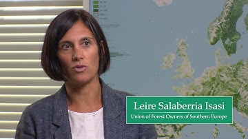 Visions of EFI: Leire Salaberria Isasi