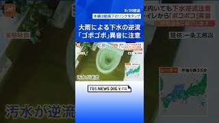 「ゴポゴポ」という異音が鳴ったら要注意！大雨による“下水の逆流”どう対策？【Nスタ解説】  | TBS NEWS DIG #shorts