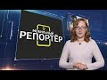 «Мобильный репортер»: олени на дороге, Дед Мороз для выдр и мандариновый челлендж