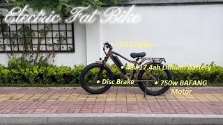 China Wholesale 48V 750W Motor Fat Tire Electric Mountain Bike