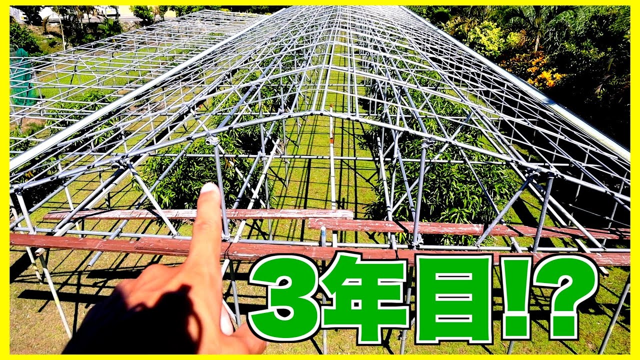 3年かけて父親と手作りしている自家製ビニールハウス・・・！？ - YouTube