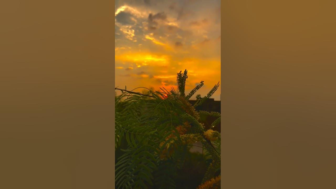 Small Circle Private Life Peaceful Mind YouTube small-circle-private-life-peaceful-mind-youtube