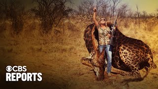 Trophy hunting: Killing or conservation? | Full Documentary screenshot 4