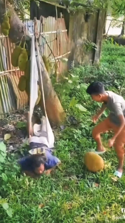 Mau ketawa takut dosa video lucu bikin ngakak hiburan warga 62 funny videos