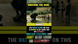 Did You Know? The Water Flying On This Elephant Also Look Like An Elephant