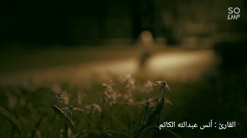 ما تيسر من سورة النمل - القارئ أنس عبدالله