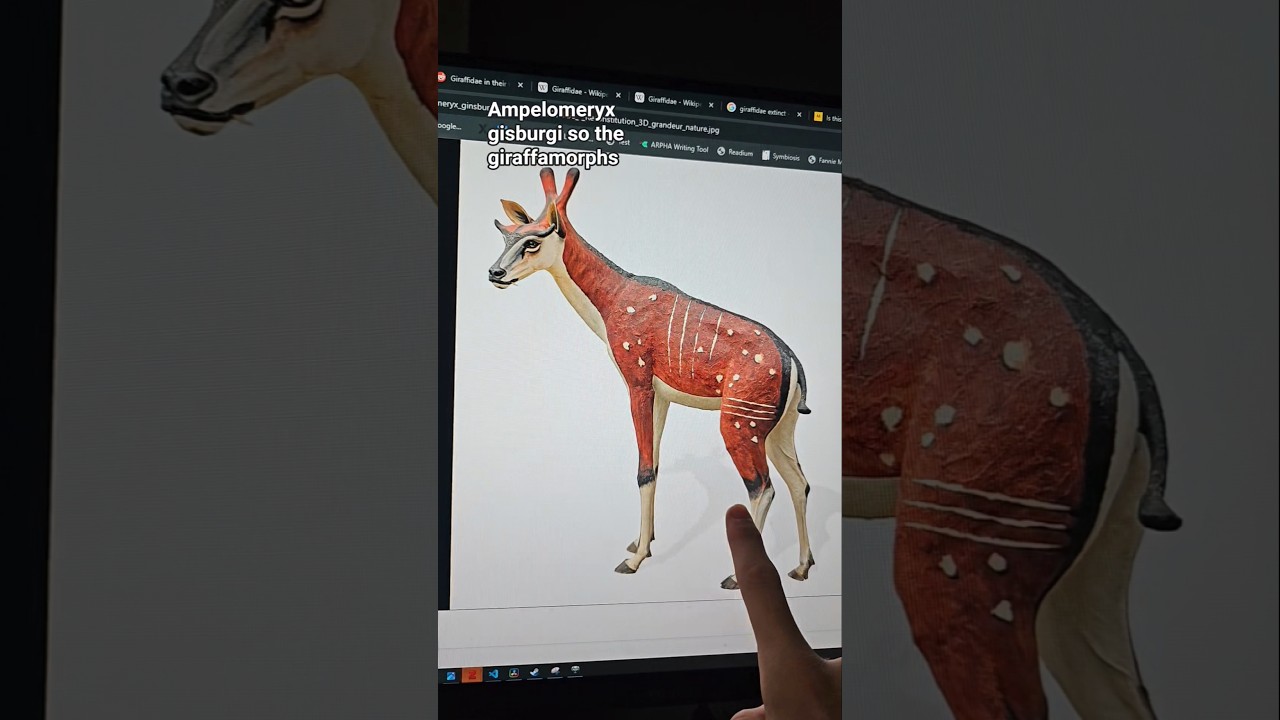 Extinction bias explains giraffes!