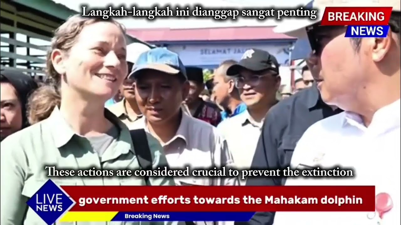 Video reporter karya Dzikra Kasuma "Pesut Mahakam the unique species"