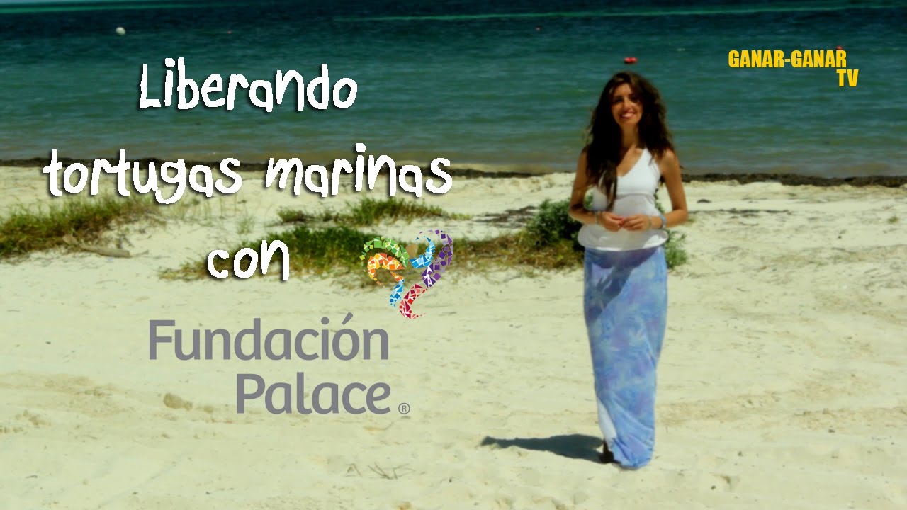 Liberando tortugas con Fundación Palace responsabilidade afetiva