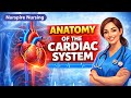 Anatomy of the Cardiac System | Simple Nursing Explanation #trendingvideo #viralvideo #viral 