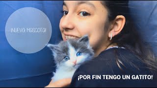 Nueva Mascota - Adamaris Quintero