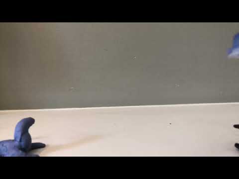 Plesiosaur Claymation
