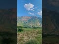 بارق