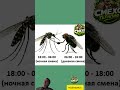 Ночная и дневная смена)) #юмор #анекдоты #смешновидео #анекдот #шуткадня