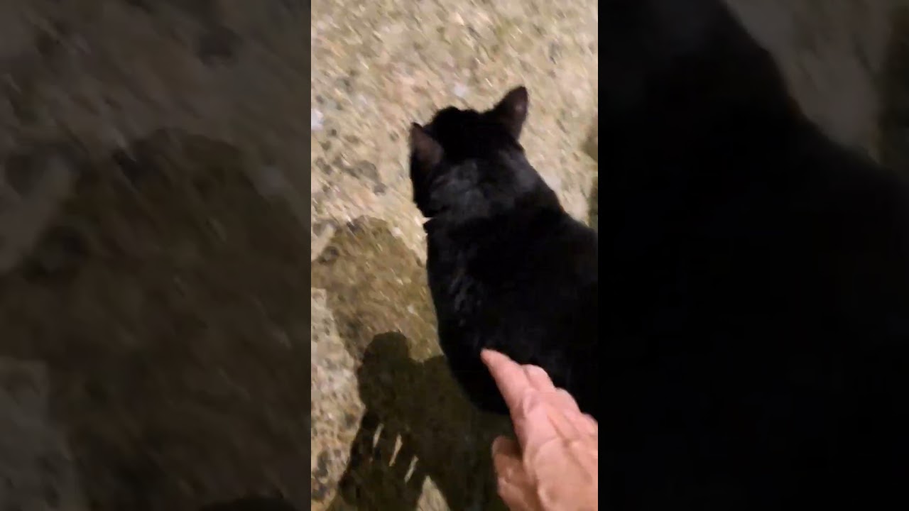 Part 4 of 4. What a night this was! Kenny/Norman/Pip & Jimmy/ Pip. But does Pip come to me!? 🤔